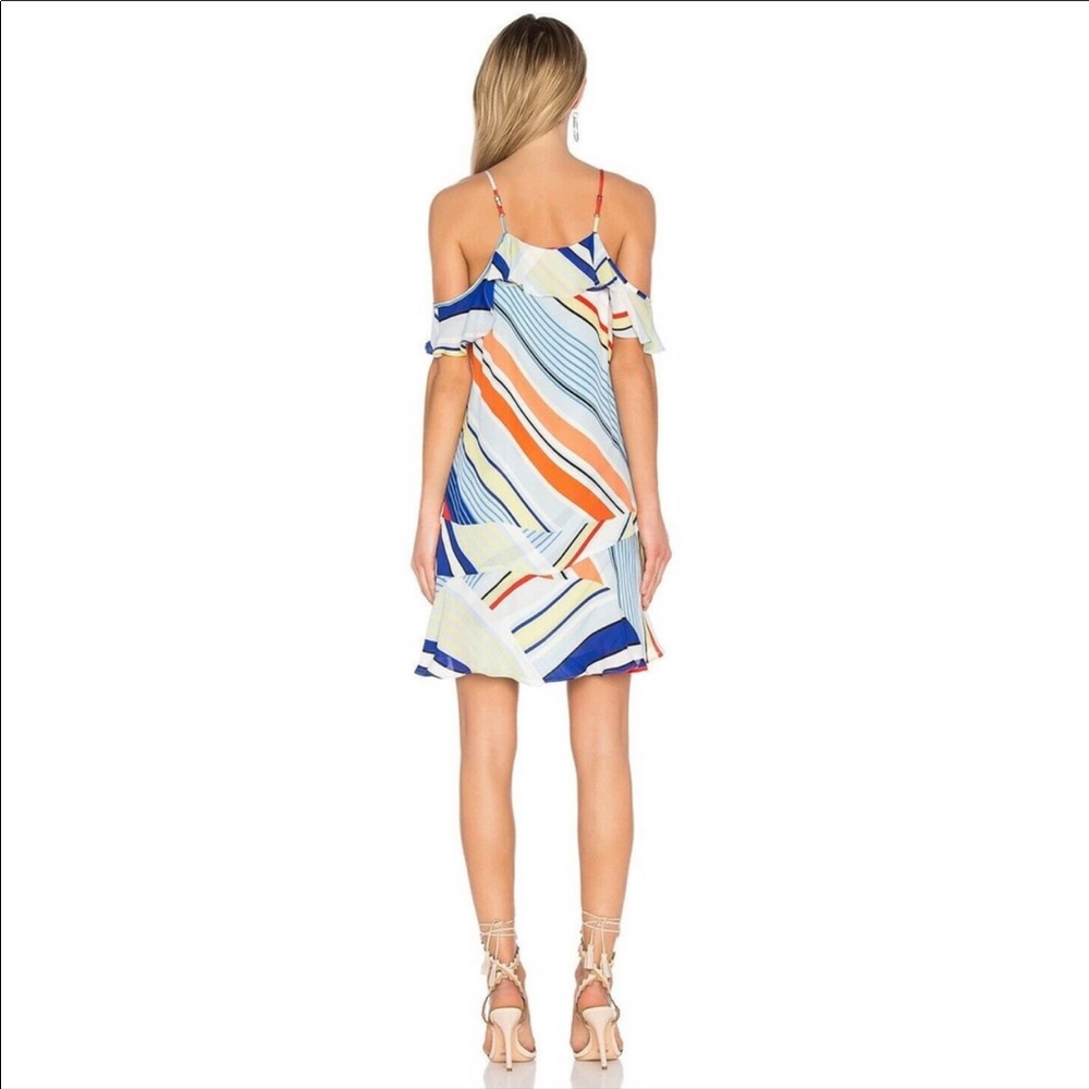 PARKER THATCHER DRESS DIVERGENT - Picture 14 of 15